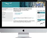 payment option preview